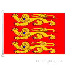 Bendera Haute-Normandie 90*150cm 100% poliester